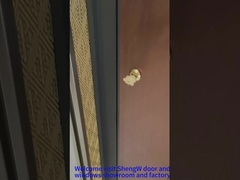 Αλουμινένια μπροστινή πύλη περιστροφής